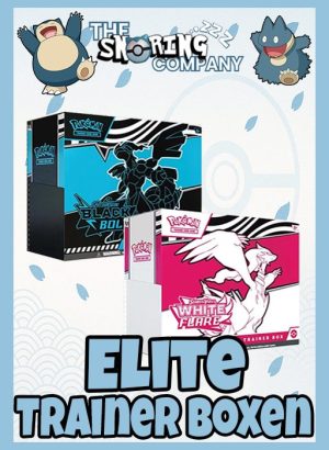 Elite Trainer Boxen